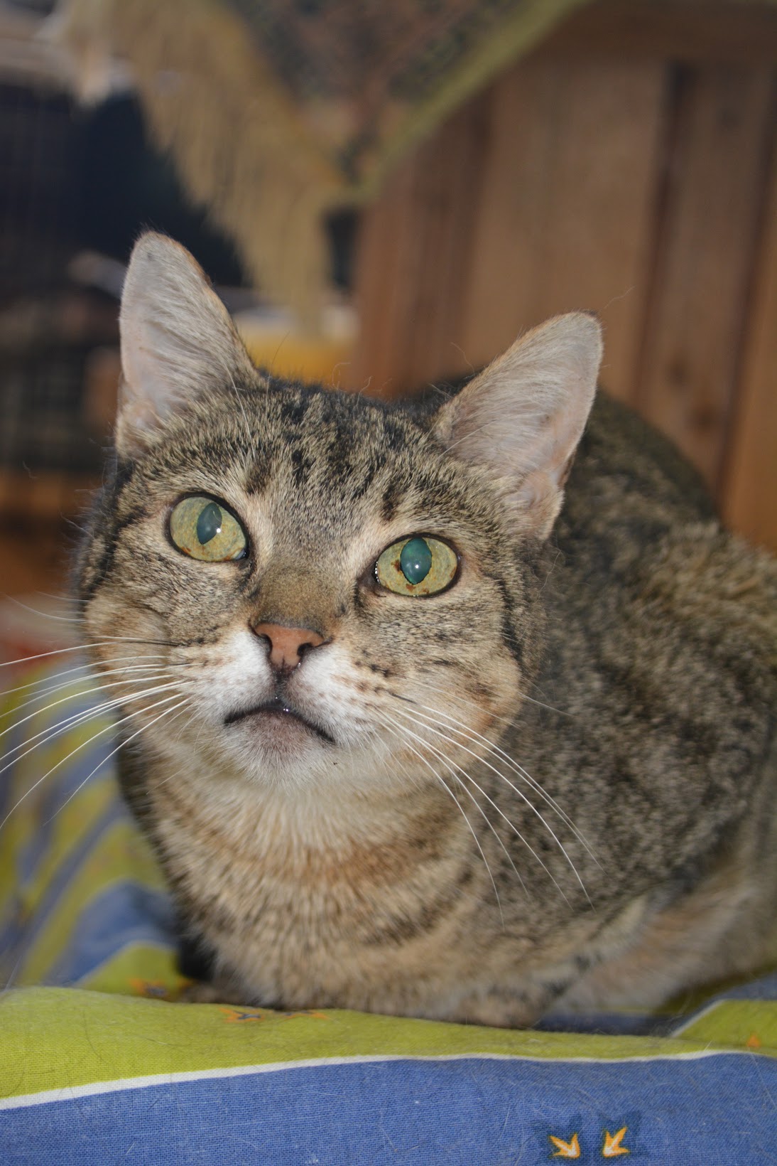 Tina