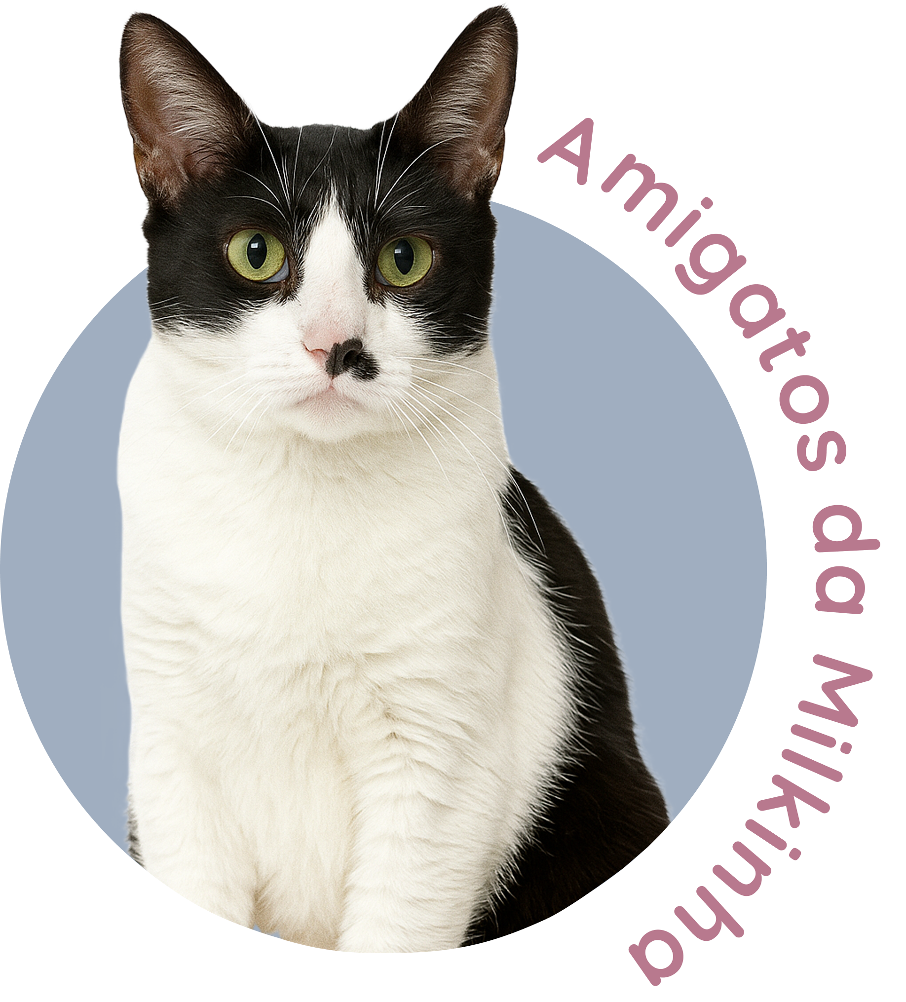 Gatinho dos Amigos da Milkinha