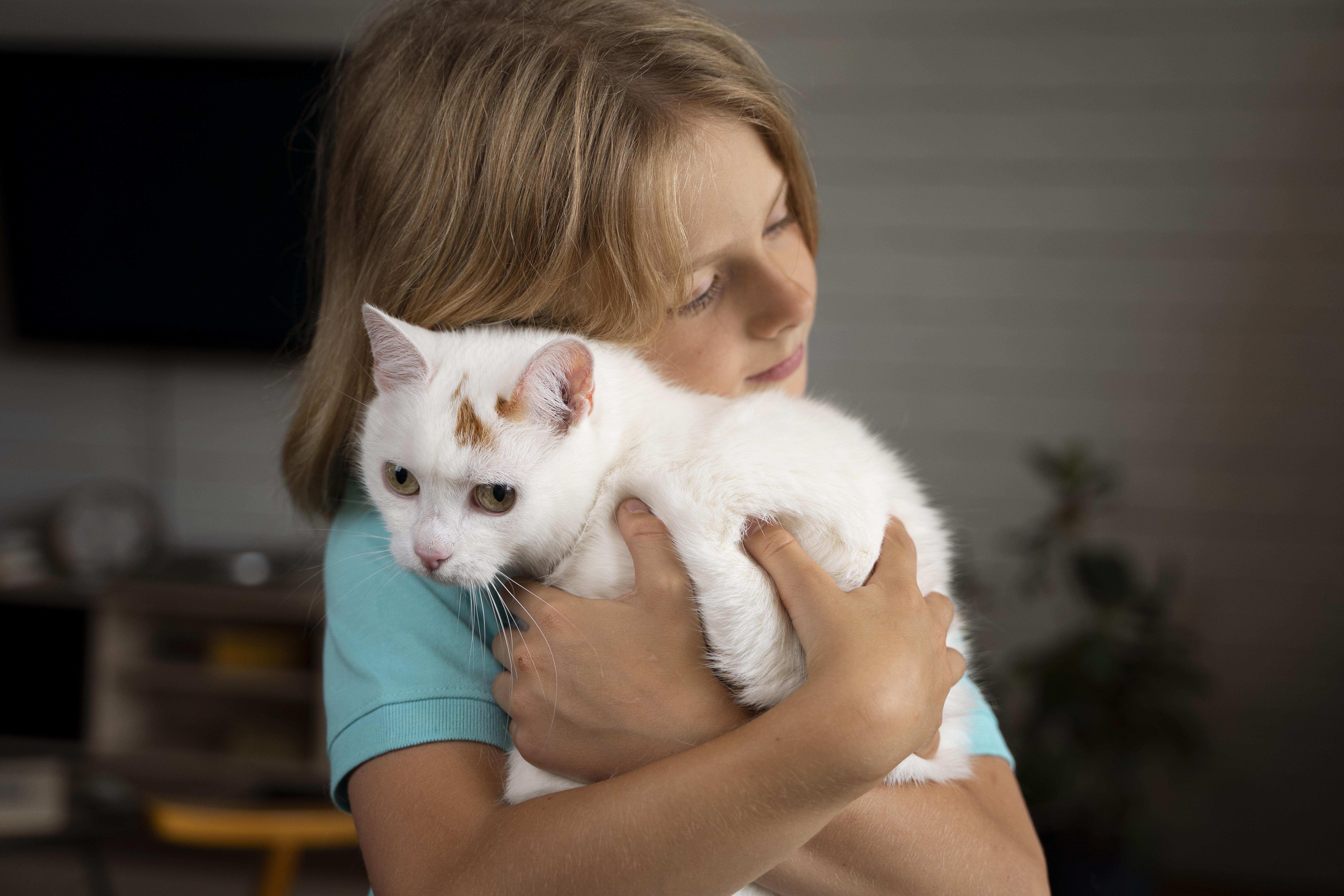 Bebê com gatinho