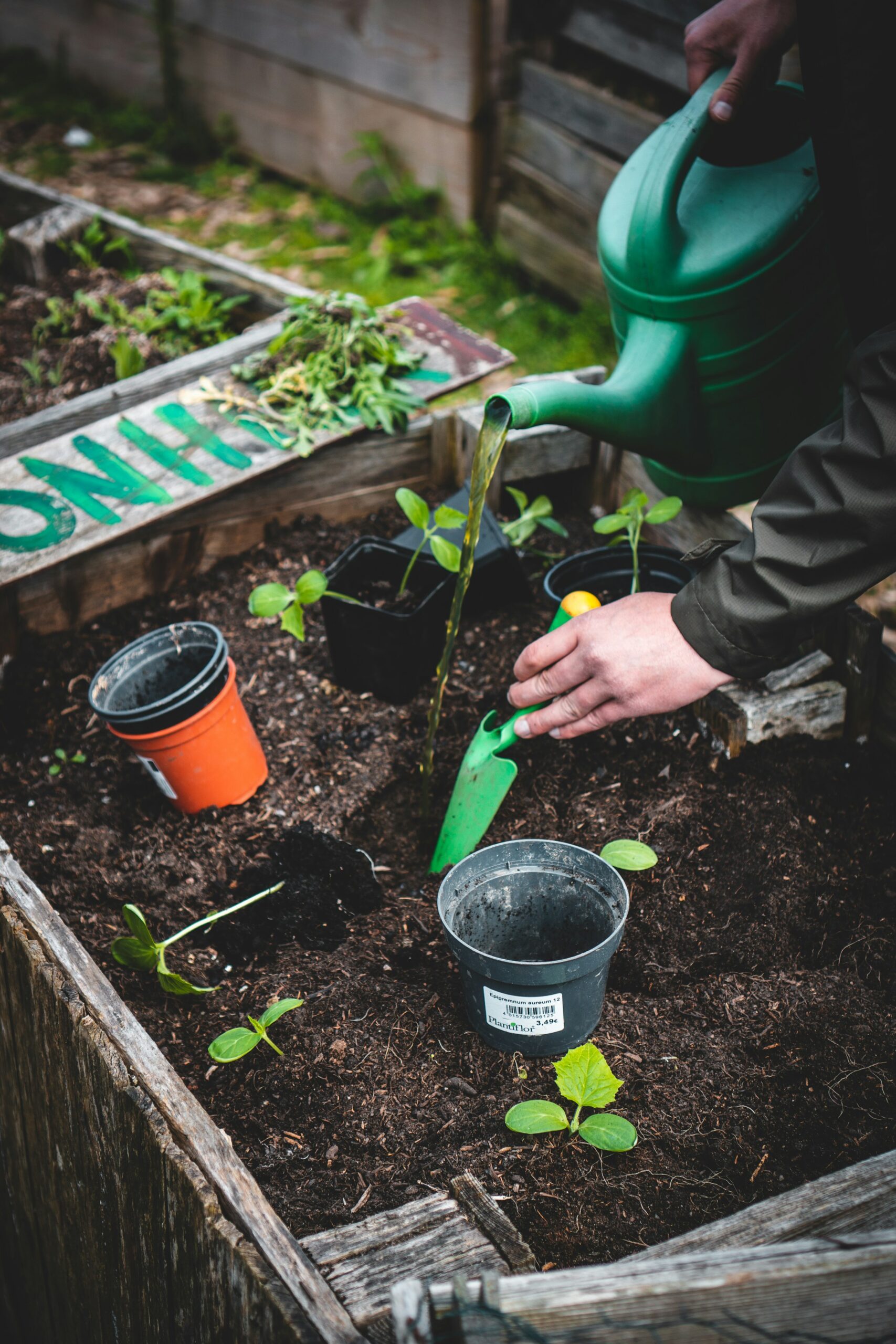 ASCENDtials Garden Club